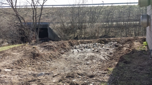 Winton Rain Garden 2014 (22)